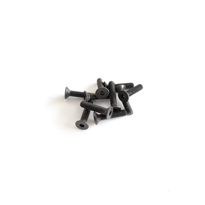 FLAT HEAD SCREW 3 x 14 (10PCS)