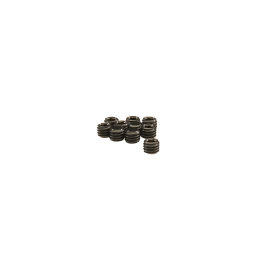 GRANO M5 X 4 (10 PZ)
