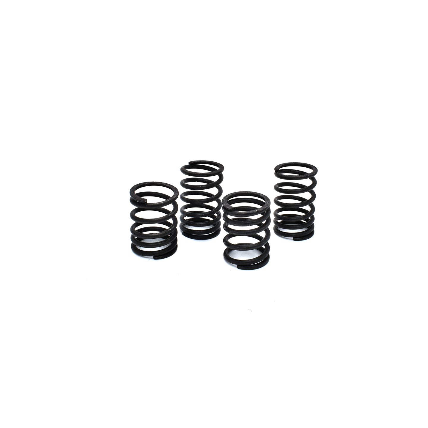 MOLLE PROGRESSIVE - SET -  ( 4pz )