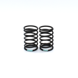 LIGHT BLUE REAR SPRINGS 1/10