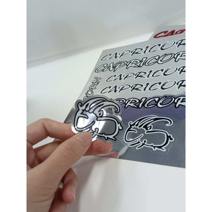 CAPRICORN MIRROR BLACK STICKER