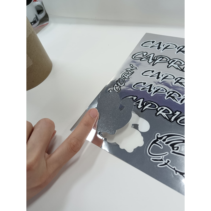 CAPRICORN MIRROR BLACK STICKER