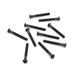 VITE M3X25 TESTA BOMBATA (10 PZ)