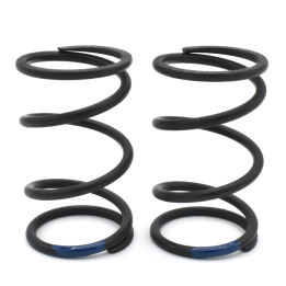 GT5 RS 4.5 BLUE SPRING (2pcs)