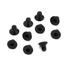 FLAT HEAD SCREW 4X6 (10PCS)