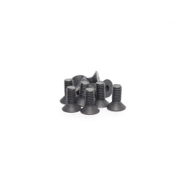 VITE 2.5X6 TESTA SVASATA (10pz)