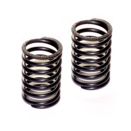 Rear Shock Springs