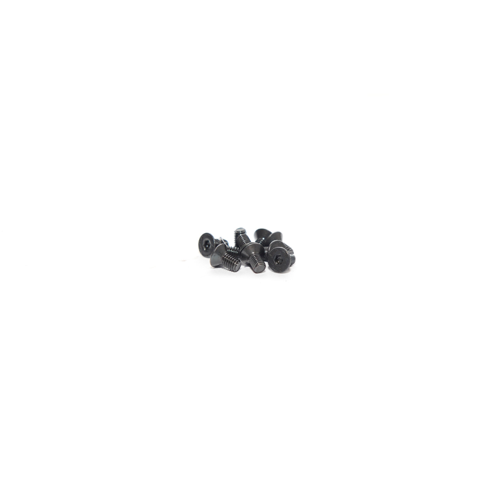 VITE 2.5X5 TESTA SVASATA (10 pz)