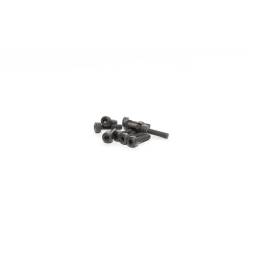 VITE 2,5X10 TESTA CILINDRICA (10pz)