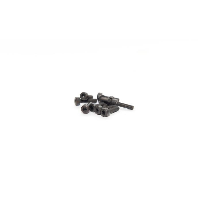 SCREW 2.5X10 (10pcs)