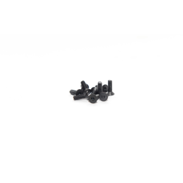 VITE 2,5x8 TESTA SVASATA (10pz)