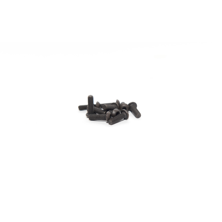 VITE 3X10 TESTA BOMBATA (10pz)