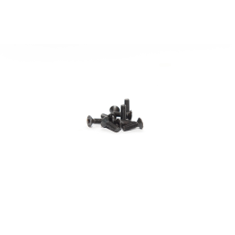 FLAT HEAD SCREW 3X10 (10 pcs)