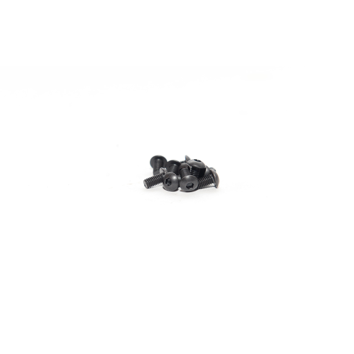 ROUND HEAD SCREW 3X6 (10pcs)