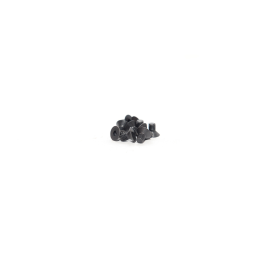 FLAT HEAD SCREW 3X5 (10pcs)