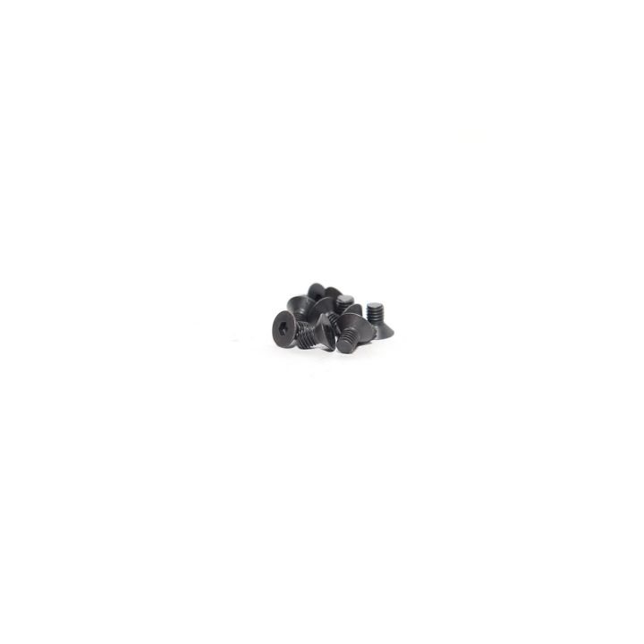 FLAT HEAD SCREW 3X5 (10pcs)