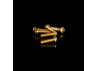 VITE M3x12 TESTA SPECIAL BOTTOM 7075 6pz - ORO