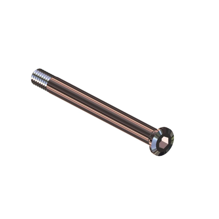 LAB F102 PERNO KING PIN REG (2PZ)