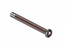 LAB F102 PERNO KING PIN REG (2PZ)