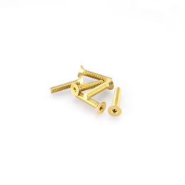 VITE M4X20 TESTA SVASATA  7075 (6pz) GOLD