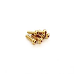 SCREW M4x14 SPECIAL BOTTOM HEAD 7075 - 6pcs - GOLD