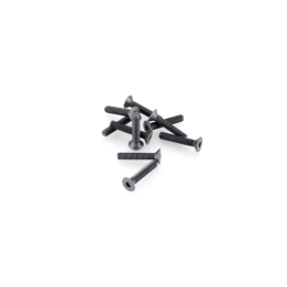 FLAT HEAD SCREW M3x16 (10pcs)