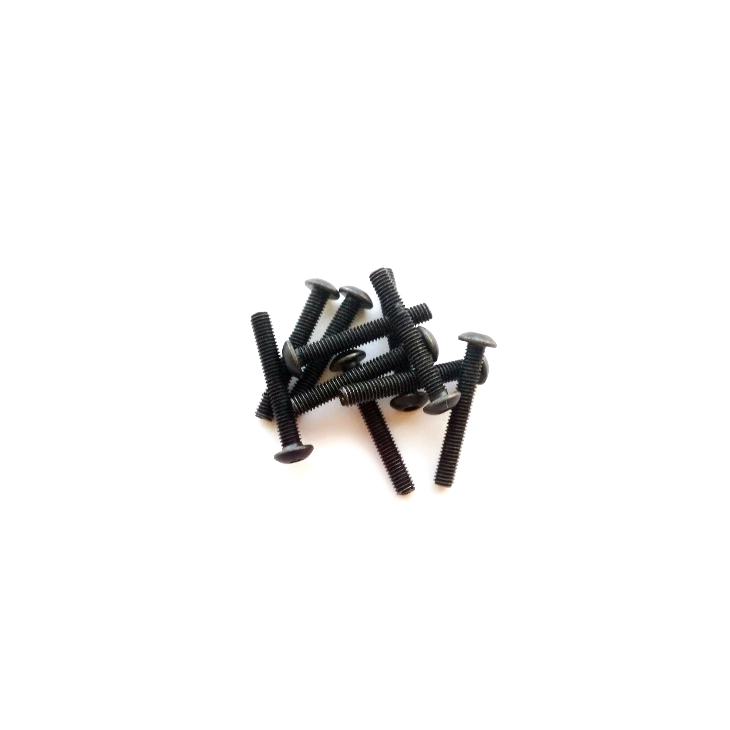 VITE M 3 x 20 TESTA BOMBATA (10pz)