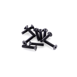 FLAT SCREW M4 X 20 (10PCS)