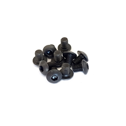 ROUND HEAD SCREW 3x4  (10 PCS)